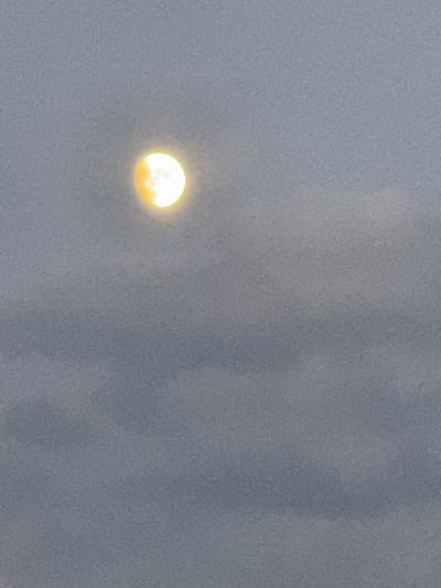 The image shows a slightly out-of-focus shot of a full moon against a hazy, grey sky. The moon is a bright yellow-orange orb with some discernible texture. The sky appears overcast, with subtle variations in tone suggesting clouds or atmospheric conditions that obscure a clear view. The image was taken in Berezhany, Ukraine. There is no visible text or discernible activity taking place beyond the presence of the moon in the sky. The overall impression is one of a peaceful, somewhat muted natural scene.