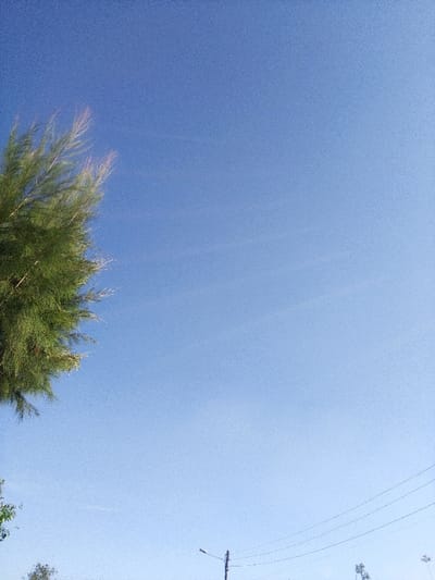 The image displays an outdoor, brightly lit daytime scene, situated in Nachu ward, Kenya. The dominant feature is a clear, light blue sky, occupying approximately 70% of the frame, devoid of clouds. On the left side, the vibrant green foliage of a tree, characterized by dense, needle-like leaves, extends from the top towards the mid-section, with some upper branches exhibiting lighter, possibly sun-kissed, tips. In the lower right quadrant, a dark-colored utility pole stands vertically, featuring a street light fixture angled leftward from its top. Multiple dark power lines extend horizontally from the pole across the lower portion of the frame. Minimal additional green vegetation is visible at the extreme bottom edge. No people or active interactions are depicted.