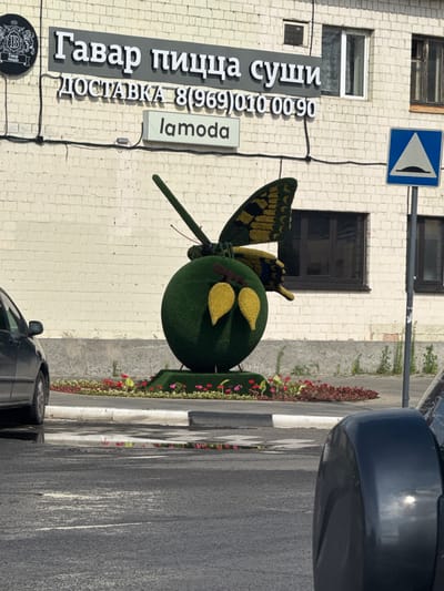 The image captures a street scene in Ramenskoye, Russia, focusing on a storefront and its immediate surroundings. A building with a light-colored brick facade is prominently featured, with several windows visible. Above the entrance, a dark sign displays text in Russian, with "Гавар пицца суши" appearing in large white letters, followed by "ДОСТАВКА 8(969)0100090" in slightly smaller white letters. Below this, a rectangular illuminated sign reads "la moda". To the left of the main sign, a circular emblem with a stylized "B" inside a crest is visible.

In front of the building, a large topiary sculpture of a green ball with a butterfly motif is positioned. The butterfly has yellow and black wings, and two yellow, leaf-like shapes are attached to the green ball, resembling fruit. The sculpture is surrounded by a flowerbed with red and pink flowers.

A dark-colored car is parked on the left side of the image, partially obscuring the view of the building. In the foreground, the asphalt road is wet, with puddles reflecting the surrounding colors. A blue traffic sign with a white triangle indicating a speed bump is located to the right of the building. The overall scene suggests an outdoor commercial area on a sunny day.