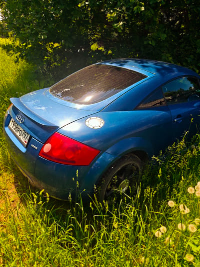 A blue Audi TT coupe is parked in a grassy area with trees in the background. The car's rear is visible, showing its taillights, license plate, and a spoiler. The license plate reads "T958PO797 RUS". The car is surrounded by tall green grass and some dandelions. The lighting suggests it is daytime with sunlight filtering through the leaves of the trees. The scene appears to be in a rural or semi-rural setting, possibly near the village of Svistukha in the Kuzyayevsky rural settlement, Russia, given the context. There are no people or animals visible in the image.