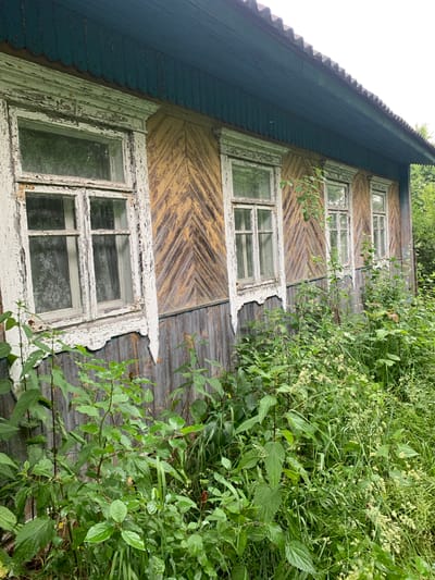 The image displays the exterior of an old, weathered wooden house in Блеўчыцкі сельскі Савет, Belarus. The house has a teal-colored roof and trim, with the main facade painted in alternating bands of yellow and grey wooden planks arranged in a chevron pattern. Several windows with white, peeling paint frames and multi-paned glass are visible. The lower portion of the house is clad in grey wooden planks. The area in front of the house is overgrown with lush green vegetation, including tall grasses, nettles, and other plants, obscuring the base of the structure. The scene suggests an abandoned or neglected rural property. There are no people or animals visible in the image.
