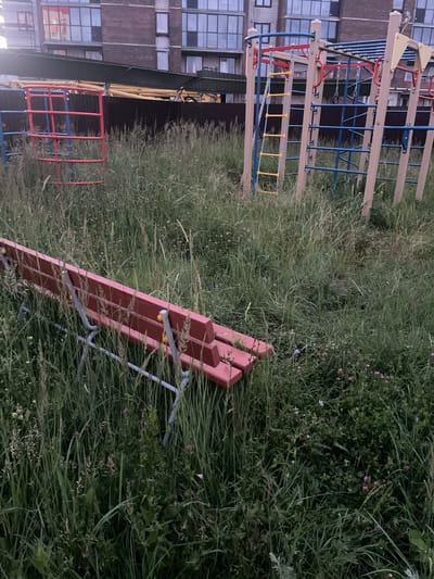 The image depicts an overgrown playground in Laishevo, Russia, with a multi-colored jungle gym, a red bench, and a red and blue climbing frame. The area is surrounded by tall grass and wildflowers, with a modern apartment building visible in the background. The playground appears to be in a state of disuse, with the grass reaching the height of the bench and partially obscuring the structures. The lighting suggests it is late afternoon or early evening. There are no people or animals present in the scene.