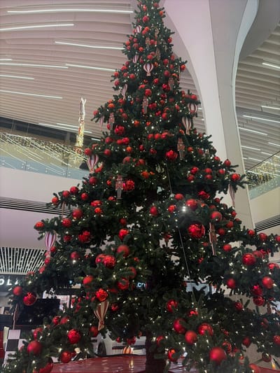 The image captures an extensive indoor Christmas decoration display, likely within a modern commercial or public space in Saint-Laurent-du-Var, France. The main subjects are a long, continuous line of artificial Christmas trees, densely decorated for the holiday season.
Each tree is illuminated with numerous small, bright white fairy lights and heavily adorned with shiny red spherical baubles of varying sizes. Interspersed among the baubles are distinctive ornaments, including red and white striped balloon-like shapes and flat, wooden-textured pieces that resemble airplanes or gliders. The festive arrangement extends across the frame, creating a cheerful and celebratory atmosphere.
The background features modern architectural elements, including light-colored, curved walls with vertical white LED light strips that glow softly. Glass railings and reflective surfaces are also visible, suggesting a multi-level structure or a grand open area. The perspective is slightly elevated, looking down and along the decorated line. No people are visible in the scene. Some indistinct white text is faintly visible on a dark surface in the lower central area of the image.