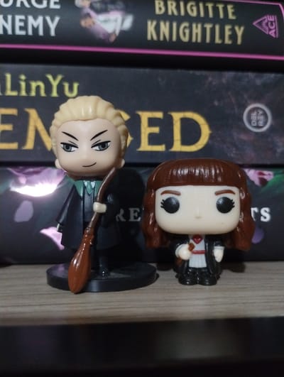 This image displays two chibi-style figurines, reminiscent of Funko Pop figures, arranged on a light-colored wooden shelf. Behind the figurines, a row of books stands vertically, creating a backdrop. The scene is set indoors, likely in a home or personal collection, located in Roza, Bulgaria.

The figurine on the right features brown hair and is depicted in a black school-like uniform with a white shirt and a red tie, consistent with Hermione Granger from the Harry Potter series. The second figurine, positioned to the left, has blonde hair, wears a dark green or black outfit, and holds a small, brown broomstick. This figure resembles Draco Malfoy. Both figures have exaggerated heads with simple, black eyes and neutral expressions.

The books behind the figurines are of various sizes and designs. On the leftmost book, the "ACE" publisher logo and the author "BRIGITTE KNIGHTLEY" are clearly visible, with "ORGE ENEMY" partially readable below the author's name. The central book's spine features a circular "DEL REY" logo and the author "LinYu," with a prominent gold "ED" from its title. A third book, partially obscured behind the blonde figure, shows "RS" at the top along with purple graphical elements.

The lighting is consistent with an indoor environment, but the time of day is not discernible. The figurines are static display items, with no active event or specific emotions conveyed.