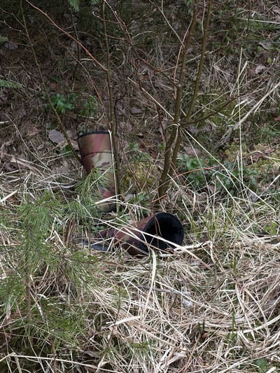 The image depicts a camouflage-covered object, possibly a firearm, partially concealed in a forest floor environment. The area is characterized by dry grass, fallen branches, and evergreen saplings. The object has a black cylindrical component protruding from the camouflage cover, suggesting a muzzle or scope. The specific location is not discernible from the image.