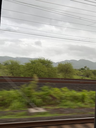 The image captures a motion-blurred view from a train window, looking out at a lush, green landscape under a cloudy, overcast sky. In the foreground, the dark brown railway tracks are visible, with ballast underneath. Beyond the tracks, a vibrant green, blurred field of grass and foliage stretches across the frame, indicating the speed of the train. In the mid-ground, several trees with dense, green foliage are also motion-blurred, appearing as streaks of green. Further in the background, rolling hills or mountains are visible, shrouded in a light haze, and their shapes are softened by the distance and the atmospheric conditions. A few power lines are strung horizontally across the upper portion of the image, silhouetted against the pale, cloudy sky. The scene suggests a rural or semi-rural environment in Palghar, India, characterized by its natural greenery and the presence of railway infrastructure. There are no people or discernible objects that are not part of the natural or transport environment.