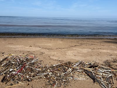 The image shows a sandy beach in Pedasel'ga, Russia, with a large accumulation of debris washed ashore. The debris consists primarily of plastic straws, wooden sticks, and other small pieces of refuse. The water is calm with a gentle wave breaking on the shore. The sky is clear and blue with a few wispy clouds. The scene appears to be a natural environment impacted by pollution.