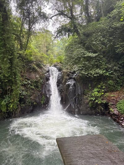 A cascading waterfall flows over dark rocks amidst lush green foliage. The water churns into a frothy white pool. The scene includes trees and vines, creating a dense, natural setting. A weathered wooden structure partially obscures the view on the right side of the frame. The landscape feels damp and wild.