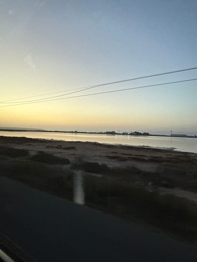 The image depicts a serene landscape at dawn or dusk, likely from a moving vehicle, given the blurred foreground of a dark road surface and the perspective. The scene is characterized by a wide expanse of calm water, possibly a salt flat or lagoon, reflecting the soft hues of the sky. In the distance, a low-lying horizon is visible, dotted with a few structures and lights, suggesting a coastal settlement or industrial area. Three thin, dark utility lines stretch horizontally across the upper portion of the image, cutting through the gradient of the sky, which transitions from a pale yellow near the horizon to a soft blue overhead. The foreground on the left is occupied by dark, barren land with some sparse vegetation, adding a textured contrast to the smooth water and sky. The overall impression is one of quietude and natural beauty, possibly captured along the coastline near Santa Pola, Spain, known for its salt flats and coastal views.