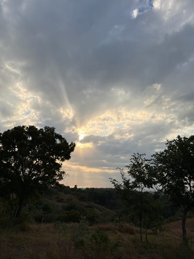The image depicts a dramatic sky at dusk over a hilly landscape. Sunbeams pierce through a thick layer of grey and white clouds, casting a warm, golden glow on the horizon. Silhouetted trees frame the scene, with dark foliage contrasting against the illuminated sky. The foreground is covered in dry, golden grasses and low-lying vegetation. In the distance, a body of water is visible, likely the sea, with a hint of land beyond. The scene is serene and natural, suggesting a remote or undeveloped area. It is possible this is a view from one of the higher points in Kubutambahan, Bali, Indonesia, looking towards the northern coast as the sun sets. There are no people or animals visible in the image, nor any man-made structures, emphasizing the natural beauty of the landscape.