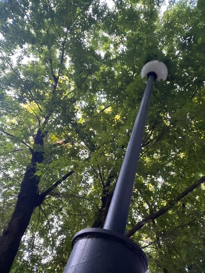 A low-angle, upward shot captures a street lamp pole extending into a canopy of lush green trees. The lamp itself, a white, rounded fixture, is partially obscured by leaves. The pole is dark gray, with a thicker, dark cylindrical base visible in the foreground on the right. Sunlight filters through the dense foliage, creating a dappled effect and illuminating the leaves with bright highlights. The trees are the dominant element, their branches crisscrossing and creating a natural ceiling above. The overall impression is one of being outdoors in a park or wooded area on a bright, possibly sunny day, with the sky visible only as glimpses of light through the leaves. No people or text are visible. The scene conveys a sense of natural beauty intertwined with urban infrastructure.