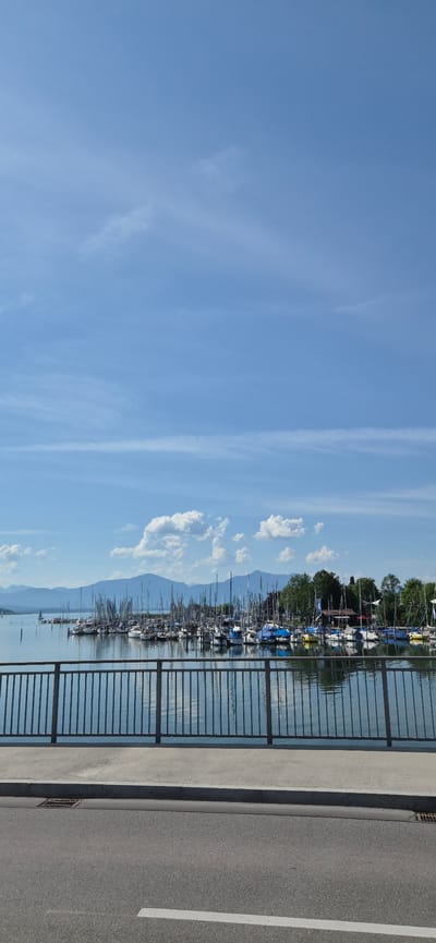 This media file depicts a scenic view of a harbor filled with numerous sailboats docked along a waterfront. The sailboats, varying in size and color, are predominantly white with blue covers. They are neatly arranged, with their masts creating a striking pattern against the bright blue sky. In the background, lush green trees line the shore, and faint outlines of mountains are visible in the distance, suggesting a natural and possibly mountainous landscape.
The water in the harbor is calm and reflects the surrounding elements, including the boats, trees, and sky. A black metal fence runs along the right side of the frame, separating the harbor from a paved road and sidewalk. The road has a white line marking a lane. The sky is mostly clear with scattered white clouds, indicating a pleasant, sunny day. The lighting suggests it is daytime, likely late morning or early afternoon.
The image captures a serene and picturesque scene of a European harbor, possibly in Seeon-Seebruck, Germany, given the context. The overall mood is peaceful and tranquil, highlighting the beauty of the maritime environment and the calm atmosphere of a lakeside or riverside town. There is no visible text in the image.