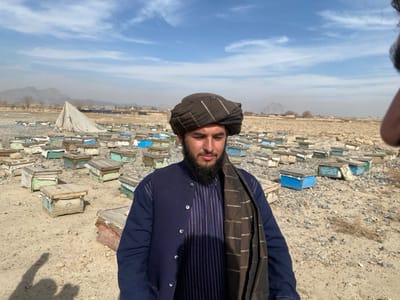 An individual with a dark beard, wearing a dark brown turban, a dark blue jacket over a striped garment, and a dark scarf, is centrally positioned in the foreground, looking downwards. The blurred face of another individual is partially visible on the far right. The scene is an outdoor apiary in Nakhonay, Afghanistan, under a bright, partly cloudy sky. The ground is barren, consisting of dry dirt and scattered gravel. Numerous wooden beehives, painted in various faded colors including blue, green, and white, are dispersed across the arid landscape. In the mid-ground, a large, light-colored tent structure is visible. Distant mountains and sparse vegetation define the horizon. Shadows, including a distinct shadow of a pointing finger, are cast on the foreground ground, indicating direct sunlight.