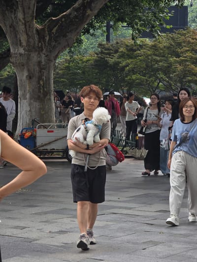 In Xihu District, China, a man with short, brown hair stands on a paved walkway, holding a small, white poodle. He wears a light brown, short-sleeved polo shirt and dark shorts. The dog is wearing a blue harness. Behind the man, a large tree trunk dominates the left side of the frame. Several other people are visible in the background, some walking, some standing. A woman in a blue t-shirt and white pants walks towards the right of the frame. In the mid-ground, a few people are seen holding umbrellas, suggesting it might be sunny or overcast. The environment appears to be a park or a public square with trees and foliage surrounding the paved area.