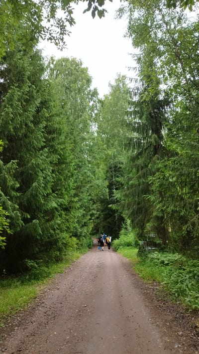 A group of people, appearing to be hikers, walk down a dirt path lined with tall trees. The path is unpaved and appears to be in a forest or park. The trees are dense and green, suggesting it is either spring or summer. The sky is overcast, indicating a cloudy day. The hikers are seen from behind, with some carrying backpacks. The environment suggests a natural setting within or near the city of Orekhovo, Russia, potentially a recreational area or nature reserve.