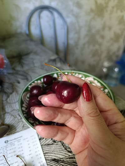 A close-up, eye-level shot shows a person's right hand holding a ripe, dark red cherry with a stem. The cherry is plump and has a smooth, glossy surface, with a few water droplets visible. The hand has long, manicured nails painted a shimmering red. Behind the cherry and hand, a green and white patterned plate is filled with more cherries. The background is blurred, but appears to be an indoor setting with a table covered in a patterned cloth. A portion of a grocery receipt is visible in the lower left corner of the image, featuring Cyrillic text and what appear to be product names and prices. The overall lighting is natural and diffused. There is no indication of the city of Tugulym, Russia, or any other specific location within the image.