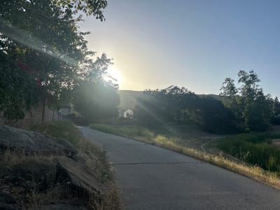 The image depicts a paved road in Oak Park, California, USA, with a large rock formation to the left and vegetation on either side. The sun is visible through the trees, creating a bright, hazy atmosphere. A house is partially visible in the distance, framed by trees. The scene appears to be a walking path or quiet road in a natural or residential area. There are no people visible in the image.
