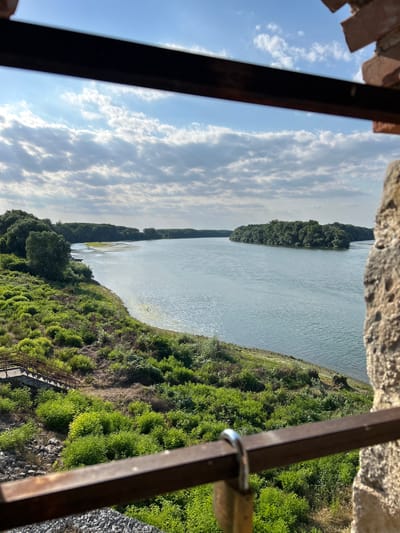 The image is a vertical, eye-level shot of a calm body of water, likely a river, viewed through a dark metal railing and rough stone structures. The water stretches into the distance, bordered by a lush green, treed embankment on the right. The embankment slopes downwards towards the viewer, revealing a weathered metal staircase and gravel below. The sky above is a bright blue, dotted with fluffy white clouds.
The scene appears to be a scenic overlook, possibly from a historical structure or a viewpoint. The metal railing, a dark brown, is in the foreground, partially obscuring the view and suggesting a barrier or structure meant for observation. A small silver loop, possibly part of a latch or locking mechanism, is visible on the railing. The stone at the top of the frame appears to be part of a weathered wall or fortification.
The lighting suggests it is daytime, with the sun likely high in the sky, casting a bright glow on the scene and highlighting the vibrant green of the vegetation. The presence of clouds indicates a partly cloudy day. No people are visible in the frame. The overall mood is serene and picturesque, capturing a natural landscape with elements of man-made structure. The location context of Belene, Bulgaria, places this scene in a specific geographical setting, but no further textual information is present within the image itself to confirm this.