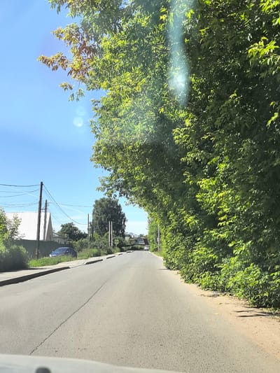 The image depicts a sun-drenched day in Afanasyevo, Russia, with a clear blue sky overhead. The scene is a road lined with lush, green trees, forming a canopy over parts of the asphalt. Sunlight filters through the leaves, creating a dappled effect and occasional lens flare.
On the left side of the road, a white-roofed building with a triangular facade is visible, along with utility poles and a network of wires. Further down the road, a dark-colored car is parked on the grassy verge. The road itself appears to be in moderate condition, with visible cracks and seams.
To the right, the dense foliage of trees and bushes creates a verdant wall, extending along the roadside. The overall impression is one of a rural or suburban road on a bright, warm day. The activity suggested is a drive or walk along this tree-lined route. There are no people visible in the image, nor is there any discernible text. The time of day is clearly daytime, likely late morning or afternoon, given the intensity of the sunlight and the clear sky.