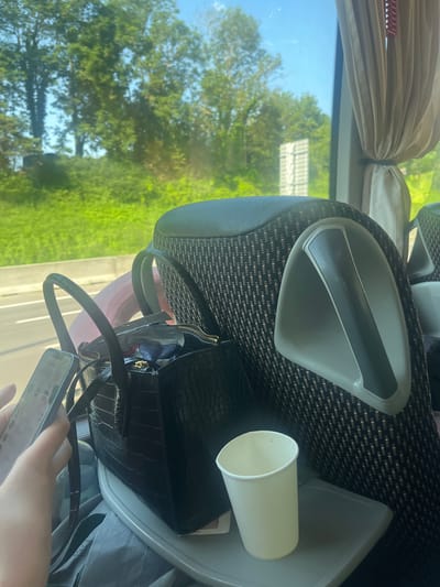 A person's hand, holding a smartphone, is visible on the left side of the frame. In the foreground, a black crocodile-textured handbag with top handles rests on a tray table. Inside the handbag, some items are visible. Next to the handbag on the tray is a white paper cup. The tray table is attached to a seat with patterned fabric and a grey armrest. In the background, a window looks out onto a green, tree-lined landscape under a bright blue sky. The scene appears to be inside a vehicle, possibly a bus or train, traveling through a rural or suburban area. There is no indication of the city of Herstal, Belgium.