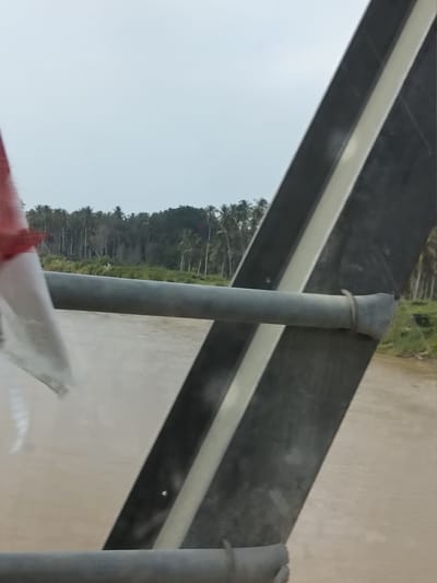 The image captures a view from a bridge overlooking a muddy river in Teupinreudeup, Indonesia. In the foreground, a portion of the bridge structure is visible, featuring dark grey beams with a white stripe. A grey cylindrical railing runs horizontally across the frame. A red and white flag, likely the Indonesian flag, is partially visible on the left side of the image, draped over the railing.
Beyond the railing, the muddy river flows, its surface reflecting the overcast sky. On the opposite bank, a dense line of palm trees stretches across the horizon, with some scattered vegetation visible at the river's edge. The sky is a uniform pale grey, suggesting cloudy weather. The overall scene depicts a somewhat muted, natural landscape viewed from a man-made structure.