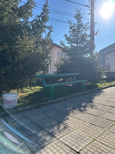 The image depicts a public outdoor area in Rozovo, Bulgaria, under direct sunlight, indicated by a prominent sun flare in the upper right and distinct shadows on the ground. A green painted wooden park bench with a slatted back and seat is centrally positioned on a raised grassy and dirt patch. To the immediate left of the bench, on the grassy area, rests a white plastic bucket with partial Cyrillic text, including "БЪЛГАРСК О" and "ТО". The foreground features a grey concrete tiled walkway with a square grid pattern, extending from the bottom left towards the right. Dense evergreen trees, primarily fir or spruce, frame the bench and occupy the left and central-right portions of the scene. In the background, two light-colored buildings are visible; the one on the left has multiple windows. A wooden utility pole, equipped with multiple overhead power lines, stands on the right side. Three small, vertically striped flags, colored green, white, and red (consistent with the Bulgarian flag), are suspended from one of the power lines near the utility pole. A dark, low-profile object or bundle rests horizontally on the seat of the green bench, partially obscured by shadows and foliage. No individuals are visible within the frame.