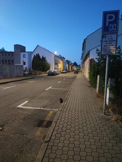 The image depicts a street scene in Nový Jičín, Czechia, during twilight. The sky is a deep blue, indicating the transition from day to night. The street is lined with parked cars and buildings, with a paved sidewalk on the right. A prominent parking sign is visible on a pole near the sidewalk. The sign indicates parking regulations, including time limits and exemptions for residents with a specific card. There are no people visible in the scene, and the street appears quiet. The environment suggests an urban residential or commercial area.