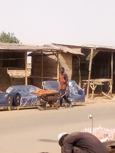 The image depicts a street scene in Tudun Murtala, Nigeria, under a clear sky. In the midground, an adult male with dark skin and a short haircut is walking from left to right, pushing a single-wheeled cart (wheelbarrow) filled with numerous orange vegetables, likely carrots. He is wearing a short-sleeved t-shirt with orange and black vertical stripes, dark trousers, and sneakers. The wheelbarrow has "AFAFAFA" inscribed on its side in white or light-colored text.
Behind him, several open-fronted stalls or shops line the right side of the street. These structures are constructed with wooden frames, corrugated metal roofs, and walls made of what appears to be woven bamboo or reeds. To the left of the walking man, within one of these stalls, multiple blue upholstered furniture pieces, resembling sofas and armchairs, are visible. They are individually wrapped in clear plastic sheeting. Further to the right, another stall features a simple wooden table.
In the lower foreground, partially obscured, an individual wearing a dark garment and a light-colored cap is seen crouching or bending over, facing away from the viewer. To their right, several clear plastic bottles containing a pink liquid are arranged on the ground. The ground surface is a light-colored paved road or dirt path.