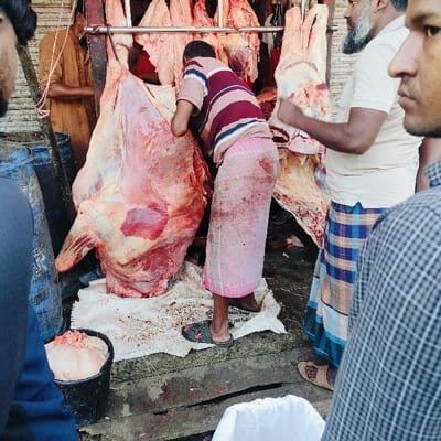 The image portrays an active butchering scene at a meat market in Lalmohan, Bangladesh. A central figure, dressed in a red and white striped t-shirt and a pink checkered lungi, is engaged in processing a large, skinned animal carcass, likely bovine, which hangs suspended from a metal rail and rests partially on a white woven sack on the ground. Blood and tissue stains are visible on the sack and surrounding wooden planks. To the right, a man with a beard, wearing a light-colored t-shirt and a blue and white plaid lungi, stands holding another piece of raw meat. In the background, multiple skinned carcasses and various cuts of meat are hanging from horizontal metal rails. A third man in a brown garment is partially visible behind the working butcher. The foreground shows parts of two additional observers; on the left, a black bucket contains light-colored offal or fat. The ground consists of wooden planks and dirt, visibly stained with blood. Blue industrial barrels are partially visible on the far left, and a white plastic bag is on the ground in the immediate foreground.