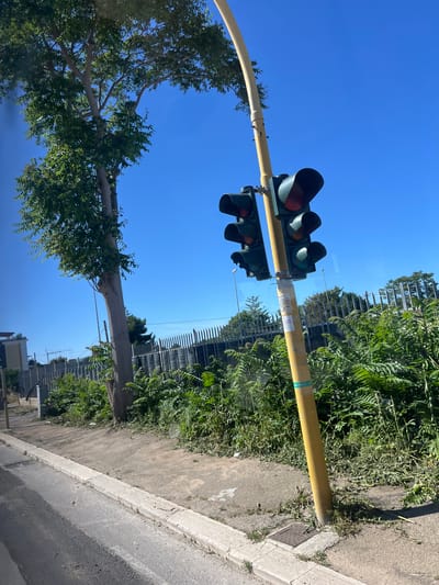 The image depicts a static outdoor scene, likely taken from inside a vehicle looking out at a street or roadside on a clear, sunny day. The sky is a vibrant, cloudless blue.
In the foreground, a prominent yellow pole arches across the upper and middle sections of the frame. Attached to this pole are two sets of traffic lights. The upper set clearly shows a red light illuminated, while the lower set displays a green light. Reflections are visible on the surface through which the photo was taken, suggesting a window, possibly from a car or bus.
Below and to the right of the pole, lush green vegetation, including overgrown grass and dense foliage from a large tree, dominates the midground. Behind this greenery, a tall metal fence is visible. Further right and at the bottom, a concrete sidewalk and an asphalt road or paved area can be seen.
Notable details include the bright sunlight, indicated by the clear blue sky and distinct shadows. The traffic lights are fully visible, indicating an intersection or controlled crossing. A white rectangular label with black text, appearing to read "BARI SERVIZI", is affixed to the yellow pole near the traffic lights. A smaller green label is also present further down the pole. No people or overt activities are taking place; the scene captures a moment of typical urban infrastructure. The overall impression is one of a bright, peaceful day in a location like Bari, Italy, given the context.