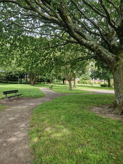 This is a photograph of a park in the city of Salford, United Kingdom, likely during the daytime in summer or late spring, given the lush green foliage. The foreground is dominated by a winding dirt path that curves to the right, bordered by a well-maintained grassy lawn. A dark green park bench is positioned on the left side of the path, facing away from the viewer and towards the park.
Further into the park, the path continues to meander, and another, smaller dark green bench is visible in the middle ground. The park is characterized by mature trees with thick, moss-covered trunks and branches that create a dappled canopy overhead, casting shadows on the path and grass. In the background, more trees and some residential buildings with red-tiled roofs are visible, suggesting the park is situated in a suburban area. The sky is partially visible through the leaves and appears overcast or a hazy blue. The overall impression is one of a quiet, tranquil urban green space. There are no people present in the image.