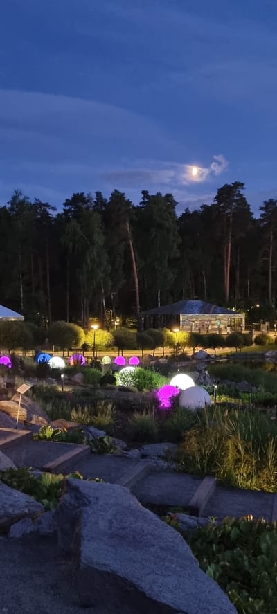 The image depicts an outdoor scene at dusk or night in Shulgino, Russia. The sky is a deep blue, with a bright moon partially obscured by clouds. In the foreground, a rocky path or retaining wall made of large gray stones is visible on the right. A series of illuminated spherical lights are scattered throughout the landscape, casting vibrant colors of pink, purple, blue, and white. These lights are interspersed with lush green vegetation, including bushes and grass, and some smaller trees. In the background, a dense forest of tall, dark trees, likely pines, dominates the scene, creating a stark contrast with the illuminated garden features. Further back, a modern glass building, possibly a visitor center or restaurant, is partially visible. The overall atmosphere is serene and magical, enhanced by the interplay of natural darkness, moonlight, and artificial illumination. There is no visible text in the image.