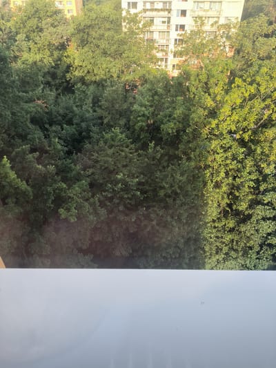 The image depicts a view of lush green trees in Kladno, Czechia, possibly from a window. The trees are dense and extend across the majority of the frame, with some buildings visible in the background. The foliage suggests it is a daytime scene, likely during warmer months, given the fullness of the leaves. A white, flat surface occupies the bottom portion of the image, which could be a windowsill or balcony railing.