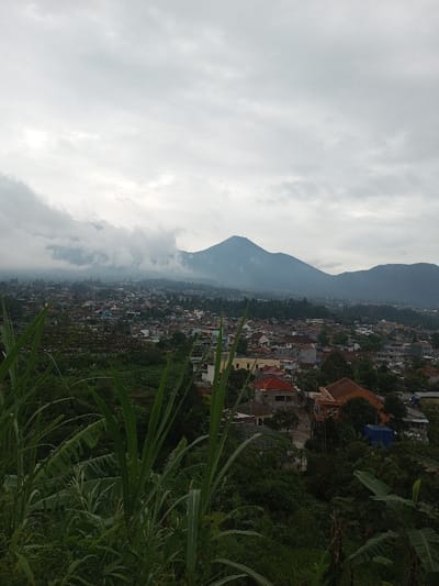 An elevated panoramic view captures a densely populated urban area situated before a mountainous backdrop under an overcast sky, purportedly located in Bhupalpally, India.
In the immediate foreground, a dense array of uncultivated green vegetation is present, characterized by tall, slender, pointed leaves on the left and center, and broader, flatter green leaves further to the right. This vegetation partially frames the bottom portion of the scene.
The midground reveals an expansive urban settlement comprised of numerous multi-story structures. Buildings display varied architectural styles and roof colors, including orange, red, and grey, indicating a mix of residential and potentially commercial properties. The structures are tightly clustered, interspersed with green trees and foliage. No distinct individuals, vehicles, or specific human activities are discernable within the urban sprawl due to the elevated perspective.
The background is dominated by a range of mountains or large hills. The most prominent mountain, centrally located, exhibits a distinct peaked profile. Extensive cloud cover or mist partially obscures the lower and mid-slopes of these mountains. The sky overhead is heavily overcast, presenting a uniform expanse of grey and white clouds.