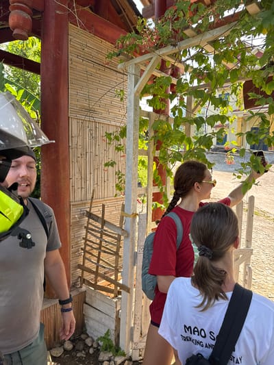The image depicts an outdoor scene featuring three individuals under a wooden pergola covered with lush green foliage and small pink flowers. The lighting suggests a bright, sunny daytime, possibly late morning or early afternoon.

In the center of the frame, a woman with dark braided hair, wearing sunglasses, a red t-shirt, and a backpack, is holding a smartphone upwards, seemingly photographing the flowering plants on the trellis. Beside her, another woman with dark hair tied in a ponytail wears a white t-shirt. Visible text on her shirt reads "MAO S" and below it "TREKKING AND", likely part of a tour or accommodation name.

To the bottom left, a bearded man wearing a grey t-shirt and a beanie or helmet smiles towards the viewer. He has a watch and a braided bracelet on his left wrist.

The background features traditional wooden structures, including red-painted beams and walls paneled with bamboo reeds. The ground below appears to be a mix of paved surface and scattered rocks. The architecture, tropical foliage, and casual attire of the individuals are consistent with the provided location context of Thông Nguyên Commune, Vietnam. The overall mood appears relaxed and pleasant, with the woman actively engaging with the natural beauty around her.