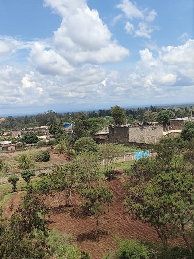 This is an elevated wide-angle view of a semi-rural landscape within Juja ward, Kenya, captured during daylight hours under a sky with extensive white cumulus clouds.

The foreground displays a downward-sloping area of tilled reddish-brown soil, exhibiting distinct linear rows consistent with agricultural preparation. Several scattered trees, varying in height and foliage density, are present within and around this cultivated land. Lush green vegetation and smaller shrubs are also visible.

In the midground, a light-colored concrete perimeter wall, possibly defining a property boundary, stretches horizontally across the scene. Behind this wall, several residential or utility structures are visible, primarily constructed from unpainted stone or concrete blocks. Some buildings feature flat roofs, with dark water tanks identifiable on the roof of one prominent two-story structure to the right of center. A section of a blue corrugated metal fence or wall is discernible amidst the vegetation near one of these buildings. The midground contains a mix of developed plots and dense green tree cover.

The background shows further clusters of buildings interspersed with extensive tree lines, indicating a continuation of the semi-urban environment. In the far distance, a hazy horizon suggests undulating terrain, and a tall, slender dark industrial-type structure or communication tower rises against the sky. No human figures are present or discernable within the visible scene.