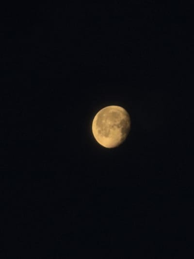 The image displays a close-up view of the Moon against a dark, featureless night sky. The Moon is the sole subject, appearing as a bright, yellowish-white orb that is more than half illuminated, indicating a gibbous phase. Significant details of the lunar surface, such as craters and darker maria (lunar seas), are visible, particularly in the illuminated portion. The illumination appears to be from the right side. The surrounding sky is a deep, uniform black, suggesting a clear night with no clouds or other celestial objects visible besides the Moon. There is no activity depicted beyond the static presence of the Moon in the night sky. The time of day is clearly night. No specific weather conditions are indicated other than a clear sky that allows for an unobstructed view of the Moon. There are no identifiable location cues within the image itself to suggest Strazhitsa, Bulgaria, and no visible text.
