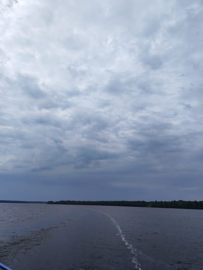 A wide, dark body of water stretches across the lower half of the image, with a trail of white foam marking the wake of a vessel moving away from the viewer and toward the right. The water is slightly choppy, reflecting the overcast sky. On the horizon, a dense line of dark green trees forms a forest that extends across the entire width of the frame. Above the tree line, the sky is filled with heavy, grey clouds, obscuring any direct sunlight and creating a somber atmosphere. The overall scene suggests a natural landscape, likely a river or lake, under a cloudy sky, with the faint hint of civilization (possibly a small structure or two) visible within the distant treeline. The location is identified as Kameshnitsa, Russia.