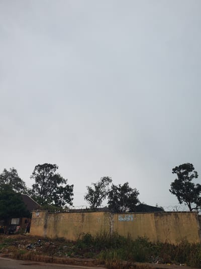 The image depicts a wall of a building in Barikin Gidar Kanat, Nigeria, under an overcast sky. The wall, painted a faded yellow, appears aged and weathered, with some peeling paint and scuff marks. Barbed wire is stretched across the top of the wall. Several trees with lush green foliage are visible, some reaching over the wall and others in the foreground. One section of the wall has three faded rectangular posters or signs adhered to it. At the base of the wall, there is a pile of debris and trash, with some vegetation growing around it. The overall scene suggests an outdoor environment, possibly a residential or commercial area, with signs of neglect and an accumulation of waste. The time of day appears to be daytime, indicated by the natural light, and the weather is cloudy. There is no clear activity or event taking place; the image seems to be a still, observational shot of the setting. The image is oriented vertically, with the sky occupying the majority of the left side and the wall and trees on the right.