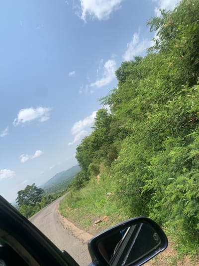 This is a slightly tilted, eye-level, outdoor photograph taken from the perspective of someone inside a vehicle. The scene depicts a winding, paved road cutting through a lush, green landscape. To the left of the road, dense foliage forms a thick wall of green, with individual leaves and branches visible. Some of these branches hang over the road, creating a canopy effect. The sky is a clear, light blue with scattered white clouds.
The right side of the image features a car's side mirror, reflecting a portion of the sky and the car's interior. Beyond the mirror, the road continues its descent, with grassy slopes and more trees visible on either side. In the distance, rolling hills are faintly visible, suggesting a mountainous or hilly terrain. The overall impression is of a scenic drive through a verdant, natural environment.
The lighting suggests it is daytime, likely late morning or early afternoon, with bright sunlight casting shadows and illuminating the landscape. The weather appears to be fair and sunny. There is no visible text in the image. The setting evokes a sense of travel and exploration.