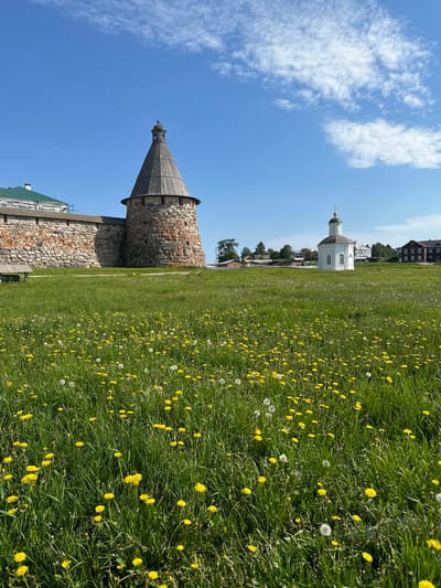 The image depicts a view of the Solovetskiy Monastery complex on Solovetskiy Island, Russia, on a clear day with a blue sky dotted with white clouds. In the foreground, a lush green meadow is filled with numerous yellow dandelions and white dandelion seed heads, creating a vibrant, natural landscape.

Dominating the left side of the frame is a section of the monastery's stone wall, constructed from rough-hewn, irregular stones in shades of brown and grey, with some areas showing red brickwork. Adjacent to the wall, a circular stone tower with a conical wooden roof stands tall. The tower has small, dark openings and is capped with a weathered wooden structure. Next to the wall and tower, a simple wooden bench is visible.

Further into the midground, a small, white, domed chapel with a golden cross on its roof stands prominently. Behind the chapel, a cluster of traditional wooden buildings with dark roofs and facades can be seen, suggesting a village or other monastic structures. Trees are scattered throughout the landscape, and a building with a green roof, possibly part of the monastery, is visible to the left of the stone tower. The overall scene conveys a sense of historical significance and serene natural beauty.