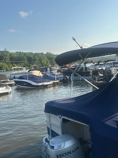 The image depicts a marina in Algonquin, United States of America, under a clear blue sky with a few wispy clouds. Several boats are docked, some covered with blue tarps, others with light-colored covers. The foreground features a pontoon boat with a blue canopy and a visible Honda outboard motor. In the mid-ground, a white and blue speedboat is covered with a dark blue tarp. Behind these, a line of other boats, mostly pontoon boats, are visible, many also covered. The water of the marina is calm, reflecting the sky and the boats. A dense line of green trees forms the background, suggesting a wooded area adjacent to the water. Power lines can be seen strung between poles in the distance, hinting at a developed shoreline. The overall scene is one of a quiet, well-maintained marina on a sunny day.