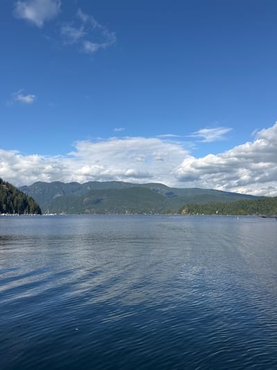 This is a wide-angle, eye-level photograph of a calm, blue body of water, likely a bay or inlet, under a bright, partly cloudy sky. The water's surface has gentle ripples reflecting the sky and sunlight. In the distance, a range of tree-covered mountains forms the horizon, with darker green forests dominating the slopes. To the left, a densely forested hillside slopes down to the water, where a collection of sailboats are moored. Several other small boats and buoys are scattered across the water. On the right side of the image, a distant shore is visible with scattered buildings and more forested hills. The sky is a vibrant blue, dotted with fluffy white cumulus clouds that cast shadows on the mountains. The overall scene depicts a serene, natural landscape, possibly a harbor or mooring area within the District of North Vancouver, Canada.