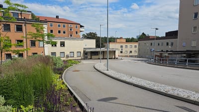 This media file depicts an outdoor scene at a medical facility or hospital in Linköping, Sweden, under a bright, cloudy sky, suggesting it is daytime. The image shows a complex of buildings, likely part of a hospital, with multiple structures of varying heights and architectural styles. The foreground features a gently curving asphalt road leading into the scene, bordered by a meticulously landscaped garden filled with tall grasses and purple flowers.
The buildings are modern, with several featuring beige or light gray facades and numerous rectangular windows. One prominent building on the left has an orange-brown facade with a reddish-brown tiled roof, and a balcony. Another building in the background is also reddish-brown. A smaller, single-story building with a covered entrance and a sign in Swedish is situated near the center of the frame. Various trees and greenery are visible, adding to the pleasant, somewhat tranquil atmosphere of the setting.
Several lampposts are strategically placed along the road and pathways. A blue sign with the number "23" is visible on the side of a building on the right. There is a pedestrian crossing marked on the road. The overall impression is one of a functional and well-maintained healthcare environment, situated within a green and landscaped area. No people are visible in the frame, indicating a quiet moment at the location. The weather appears to be warm and sunny, with scattered clouds casting soft shadows.