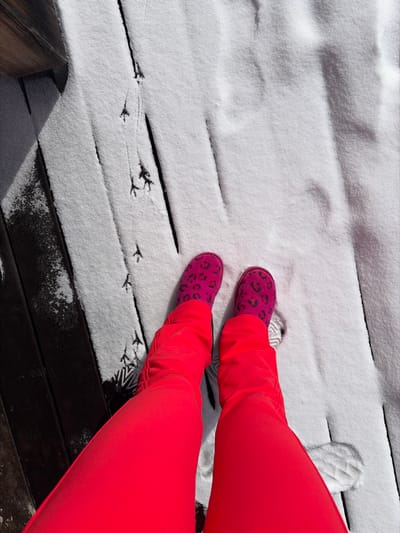 A top-down view captures a person standing on a snow-covered wooden deck or balcony in La Clusaz, France. The individual wears bright neon pink ski pants and dark pink boots adorned with a black leopard print pattern. The person's feet are positioned with distinct impressions in the fresh snow. To the left of the feet, multiple sets of small, three-toed bird tracks are visible, following the linear pattern of the dark wooden planks partially exposed beneath the snow. Sunlight casts subtle shadows across the scene.