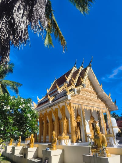 This is a vertical, eye-level, outdoor photograph taken in Tong Yang, Thailand, on a bright, sunny day. The scene features a gold-trimmed white Buddhist temple with a multi-tiered roof, adorned with ornate gold decorations. In front of the temple, a row of seated golden Buddha statues are arranged on a raised platform. To the left of the temple, a lush green tree with white flowers is visible. Palm fronds extend into the frame from the top left and top right corners, framing the bright blue sky, which has a few wispy clouds. The foreground shows the base of the platform with some scattered debris and a small stone bird.