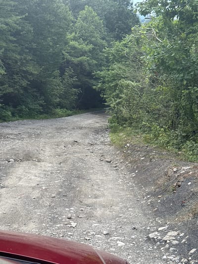 The image depicts a rough, unpaved road winding through a dense forest. The road surface is uneven and covered with gravel and small stones, suggesting it may be a logging road or a trail in a rural or mountainous area. Lush green trees and foliage line both sides of the road, creating a tunnel-like effect in some areas. The lighting suggests it is daytime, possibly overcast, as there are no strong shadows. The lower left corner of the image shows a small portion of a dark red vehicle, possibly indicating that the photo was taken from inside a car. The environment appears natural and somewhat wild, with no visible signs of human habitation beyond the road itself and the vehicle. This scene is consistent with locations found in the rural outskirts of Plastunka, Russia, known for its natural landscapes and forested areas.