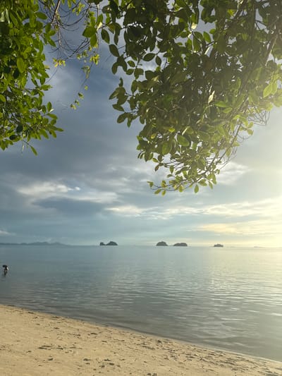 A beach scene in Baan Pang Ka, Thailand, at sunrise or sunset is depicted. In the foreground, a sandy beach slopes down to the calm ocean. The water is a light blue-gray, with gentle ripples reflecting the sky. In the mid-ground, a solitary figure is visible wading in the shallow water, wearing dark clothing. In the background, several islands are silhouetted against the horizon, and the sky is a mixture of light blue with scattered clouds, tinged with yellow and orange light from the sun. Lush green foliage hangs into the frame from the top, framing the view of the sea and sky.