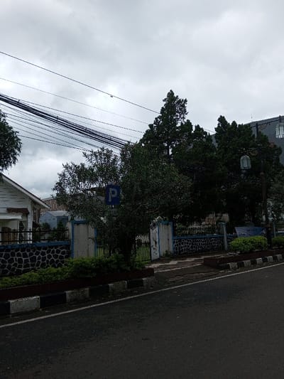 The image displays an overcast street scene in Vaatharawattai, Sri Lanka, characterized by a dark asphalt road in the foreground, bordered by a low concrete planter with black and white painted sections containing small green shrubs. A cracked paved entrance leads into a property behind the planter. This property features a low stone wall with a white and blue painted top, and a partially obscured black metal gate. A dense, dark green tree stands centrally within the property, partially obscuring the gate and a blue rectangular sign with a white 'P' (parking symbol). To the left, a white building with a pitched roof is partially visible. To the right, behind several tall evergreen trees, a darker building with decorative wall-mounted lantern-style fixtures is present. An ornate black streetlight pole with two lantern fixtures stands near this building. The upper portion of the scene is dominated by a uniform, overcast grey sky, crisscrossed by numerous black utility lines. No individuals or active interactions are observed.