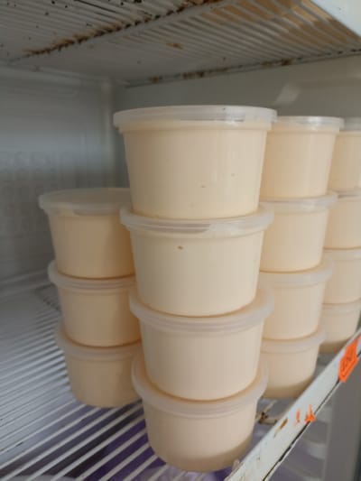 This image shows stacked plastic containers filled with a pale yellow substance, likely a dairy product like yogurt or ice cream, inside a refrigerator. The refrigerator shelves are visible, with one shelf having a purple liner. There is some rust or discoloration on the top shelf and the metal support of the right-side shelf. An orange sticker with black writing is attached to the right-side shelf. The scene appears to be in Buynaksk, Russia. There are no people or animals present in the image.